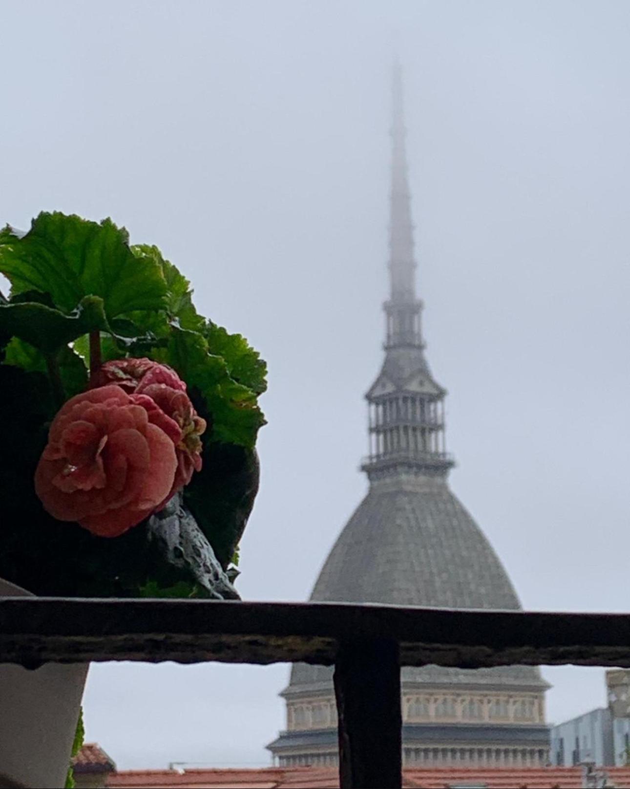 Le Finestre Sulla Mole Appartement Turijn Buitenkant foto